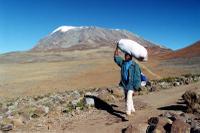 Kilimanjaro